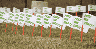 Open Source Seed Initiative (OSSI)